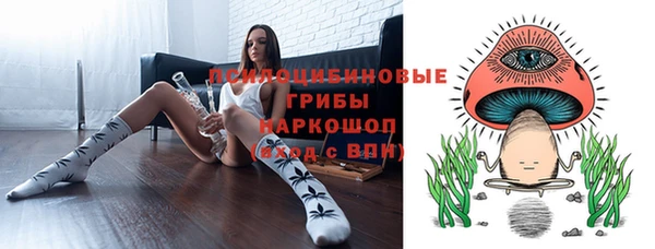 а пвп мука Гусев