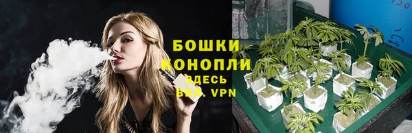 эйфоретик Дмитриев