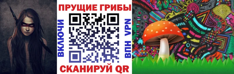Купить  Клин  Псилоцибиновые грибы Psilocybine cubensis 